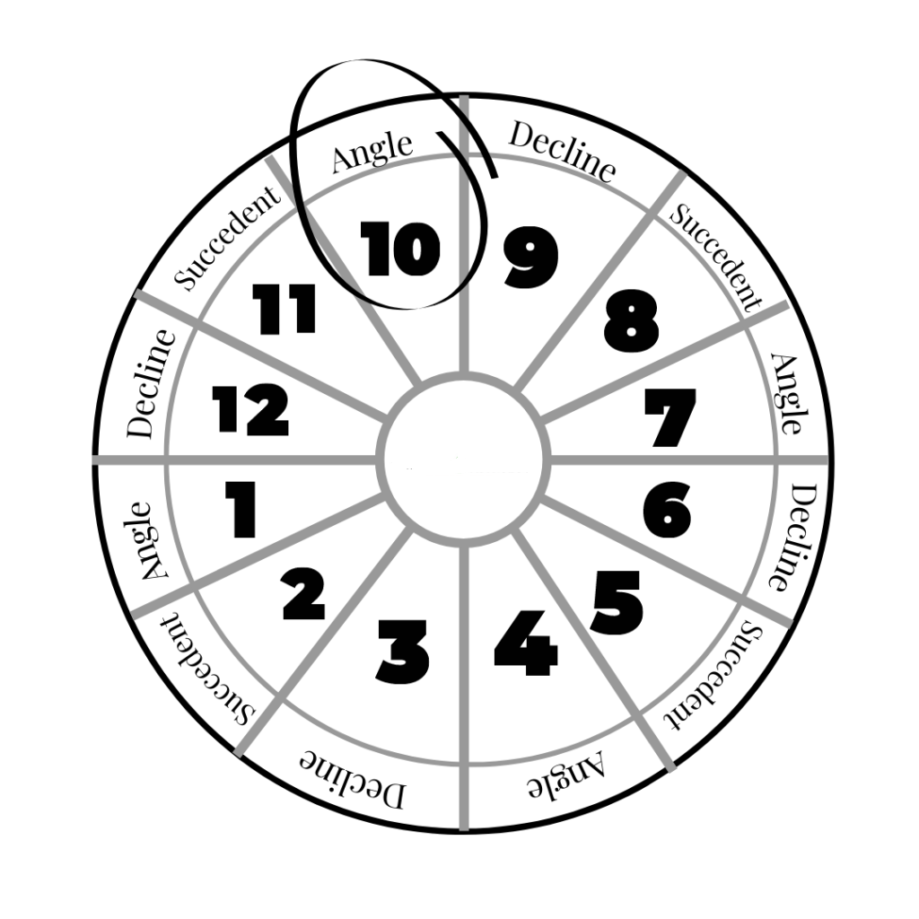 10th House Location Birth Chart