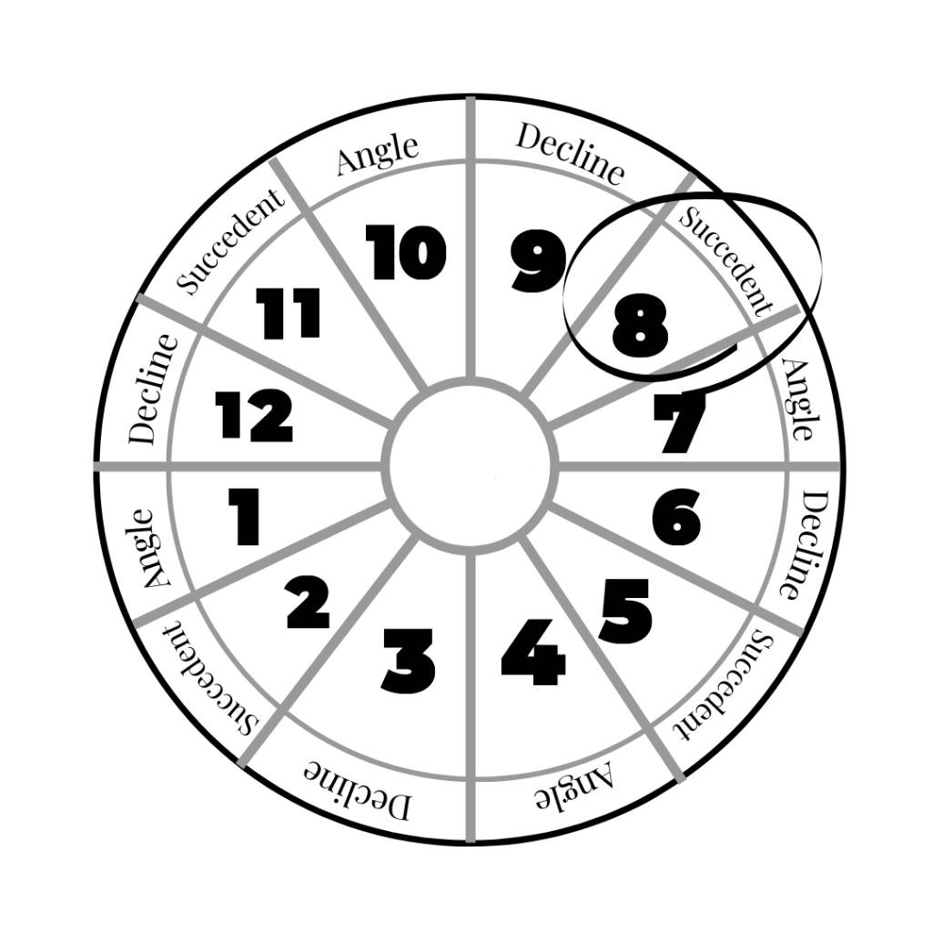 8th House location Astrology