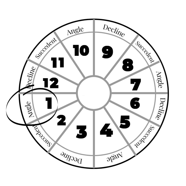 First_house_Astrology_location